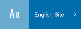 English Site